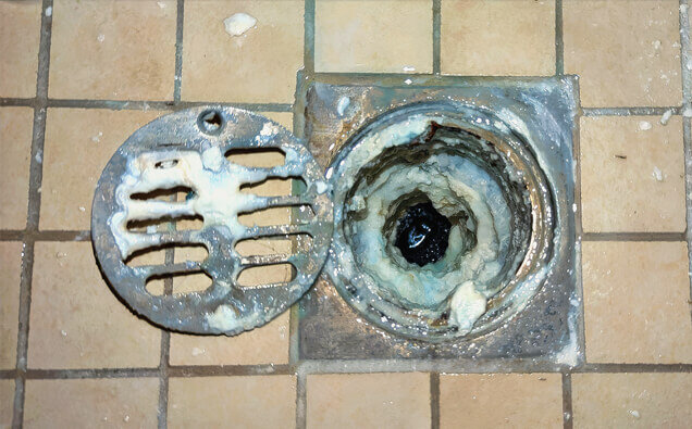 https://blockeddrainsgosnells.com.au/uploads/2025/07/blocked-shower-drains-33151.jpg