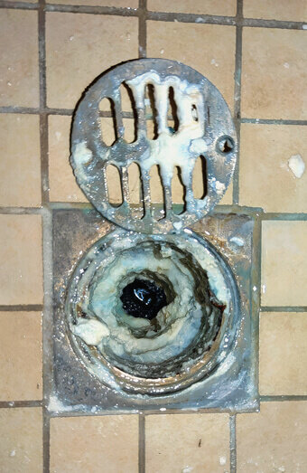 https://blockeddrainsgosnells.com.au/uploads/2025/07/blocked-shower-drains-86331.jpg