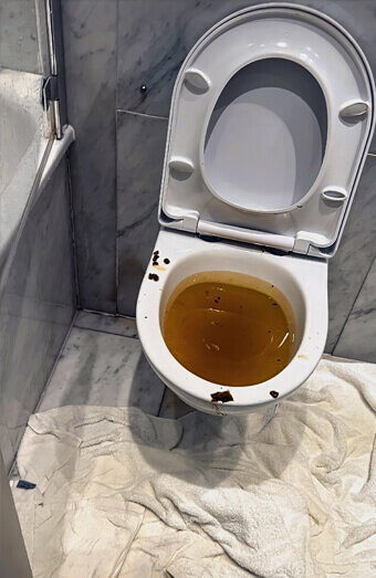 https://blockeddrainsgosnells.com.au/uploads/2025/07/blocked-toilet-27793.jpg