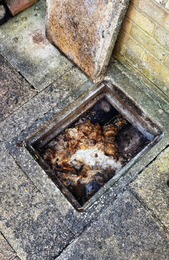 https://blockeddrainsgosnells.com.au/uploads/2025/07/hero-blocked-sewers-64792.jpg